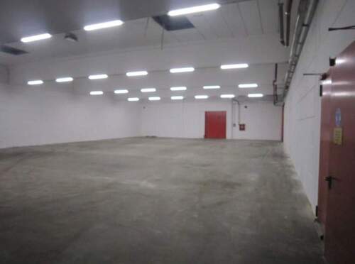 Lagerhalle 540m² - Halle in Gersheim