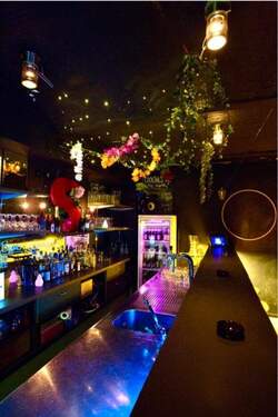 Basement Bar - 