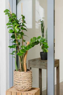 Flur - Büro in Köln