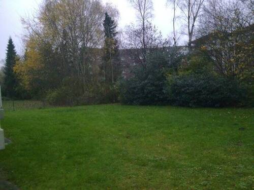 Blick in den Garten - 