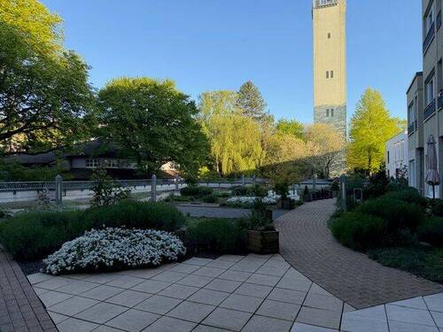 Gemeinschaftsgarten - 