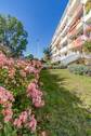 Eingangsseite des Objektes - 