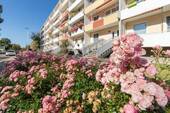 Eingangsseite des Objektes - 