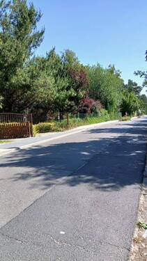 Strasse am Grundstück - 2 Zimmer Einfamilienhaus zum Kaufen in Rauen