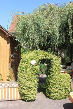 EFH Sadisdorf außen Web (19).jpg - 