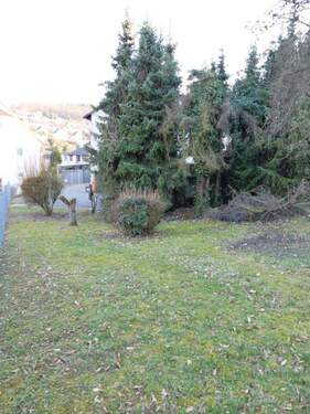 Blick aufs Grundstück - 