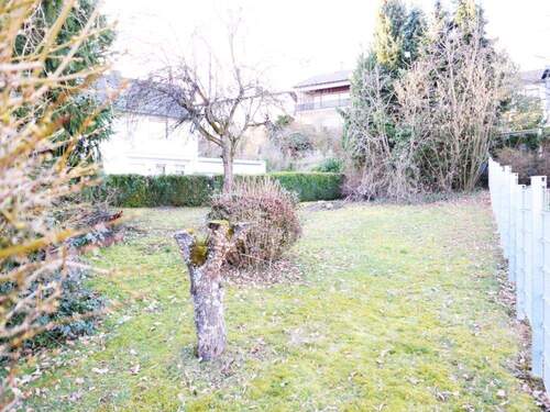 Blick aufs Grundstück - 