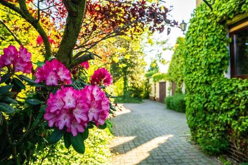 Garten - 