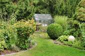 Gewächshaus (Sommer) - 