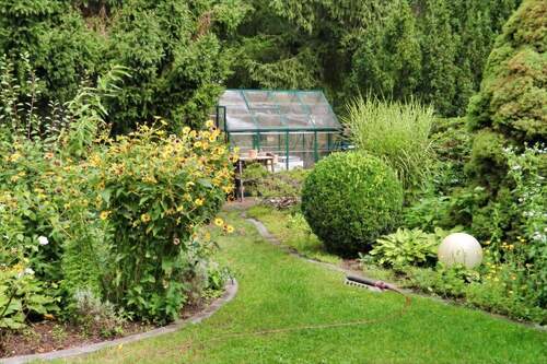 Gewächshaus (Sommer) - 