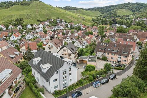 Blick über die Dächer und auf die Weinreben - 