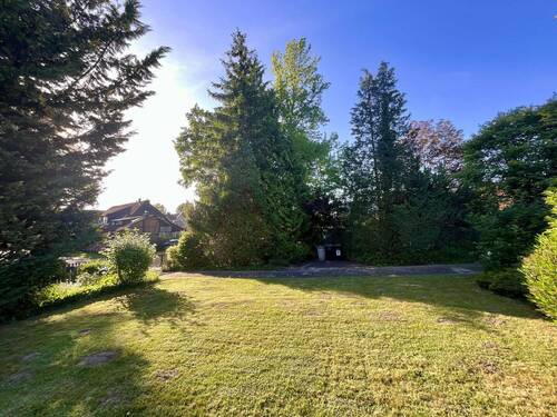 Blick aus dem Garten - 