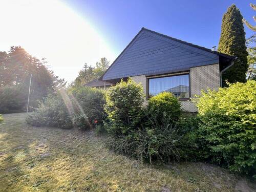 Blick aus dem Garten - 