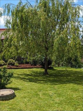 Frühlingsgefühle - Einfamilienhaus mit 122,00 m² in Partenstein zum Kaufen