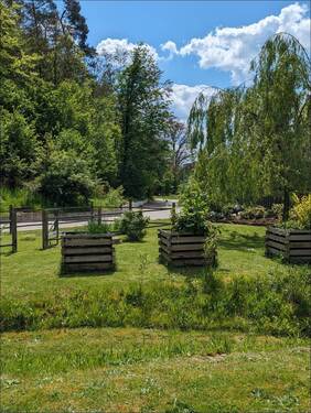 viel Platz für großes Gemüse - 