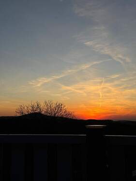 WhatsApp Image 2025-05-27 at 14.33.17.jpeg - 