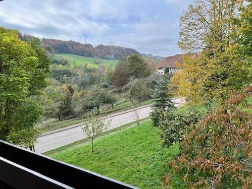 herrlicher Fernblick - 4 Zimmer Etagenwohnung zum Kaufen in Waldshut