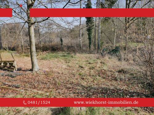 Ansicht v. Westen - Attraktive Baulücke in Waldrandlage von Heide-Süderholm