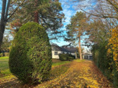 Garten - Mehrfamilienhaus, Wohnhaus in Frankenthal