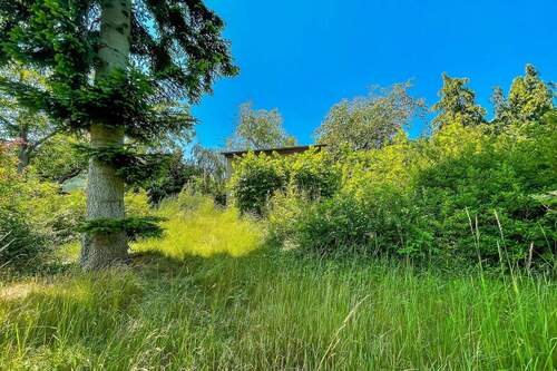 Grundstücksansicht - Grundstück in Hoppegarten