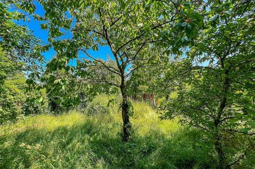 Grundstücksansicht - Grundstück in Hoppegarten zum Kaufen