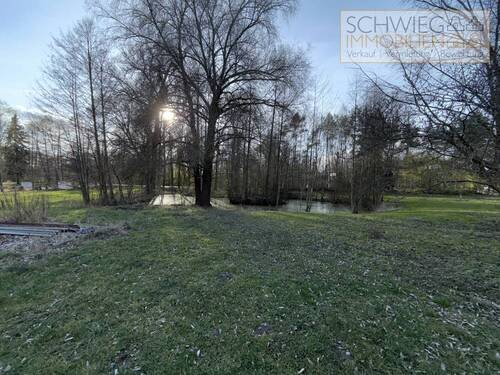 Teich - 