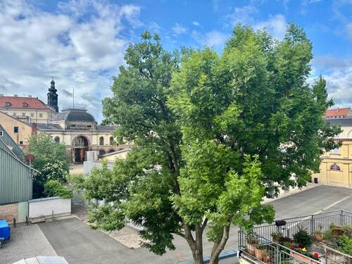 Blick auf die Altstadt - 
