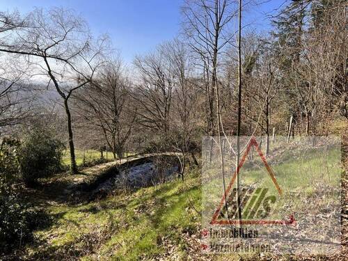 Fernblick - 