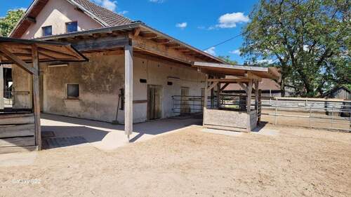 der Allwetterauslauf - 