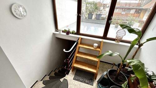 IMG_0322 (Mittel).JPEG - 