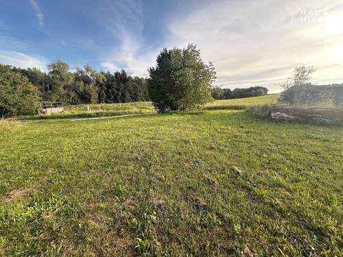 Ansicht1 - Grundstück in Hallerndorf