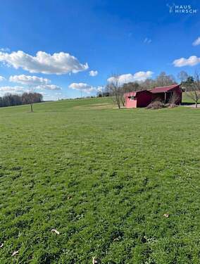 NO-Richtung - (KI generiert) - 