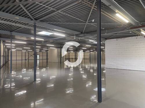 Ansicht1 - Halle zur Miete in Filderstadt