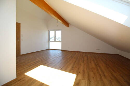 DG Studio - 