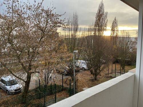 Ausblick vom Balkon - 3 Zimmer Etagenwohnung zur Miete in Halle (Saale)