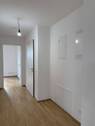 Flur - 