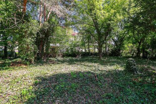 Grundstücksansicht - 