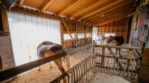 DSC08295 - 1 Zimmer Einfamilienhaus in Oberrot