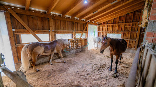 DSC08297 - Einfamilienhaus mit 344,20 m² in Oberrot zum Kaufen