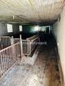 Stallung Tierhaltung 1 - 
