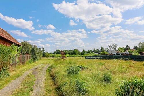 Grundstücksansicht hinten - 