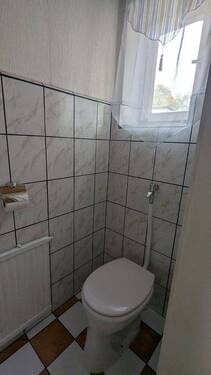 k-PXL_20251104_105527446.jpg - 