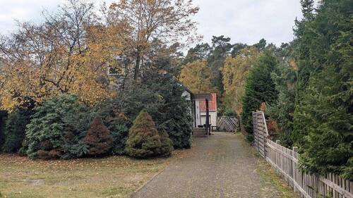 k-PXL_20251104_104952935.jpg - 4 Zimmer Einfamilienhaus zum Kaufen in Wietze