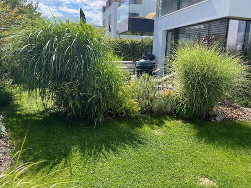 Bild 3 - 4 Zimmer Mehrfamilienhaus, Wohnhaus in Zwenkau