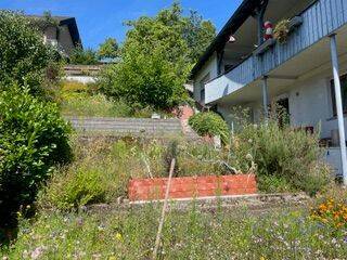 !cid_23EEEDFB-C339-4601-8144-DC791C6ED120.jpg - 