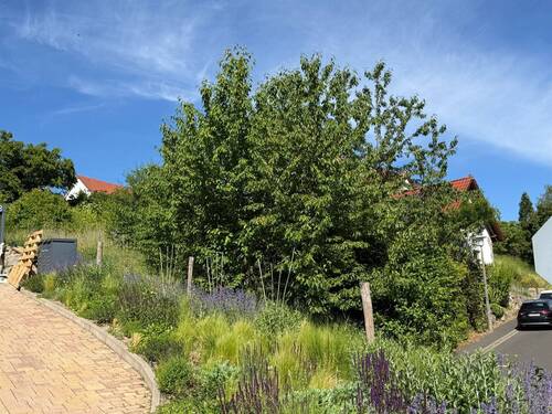 Bauplatz - 
