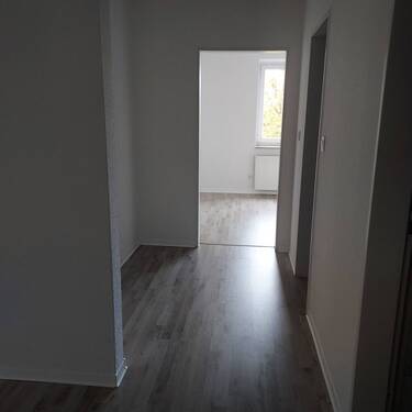 20231026_152449_resized.jpg - 