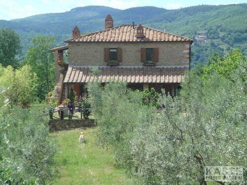 Aussenansicht - Mehrfamilienhaus, Wohnhaus mit 250,00 m&sup2; in Bucine zum Kaufen