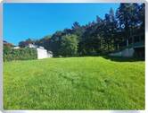 Blick Richtung Wald - 