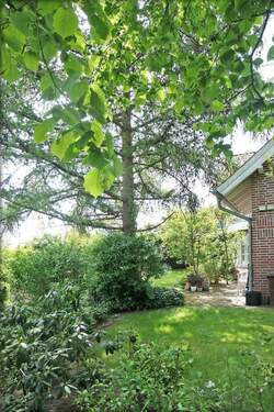 Garten mit Busch- und Baumbestand - 